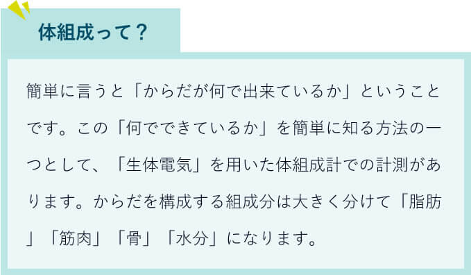 体組成とは？